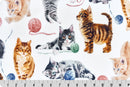 CAT NIP DIGITAL CUDDLE - MULTI
