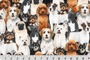 DOG-PILE DIGITAL CUDDLE - BEIGE