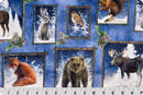 FROSTY FRAMES DIGITAL CUDDLE - MULTI