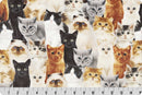 HERE KITTY DIGITAL CUDDLE - BEIGE