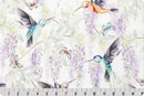 HUMMINGBIRD DIGITAL CUDDLE - MULTI