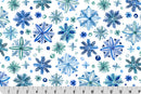 SNOWY SPARKLE DIGITAL CUDDLE - BLUE